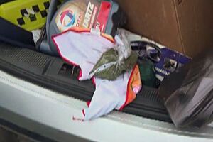 МВД: В машине задержанных нашли две сигареты с веществом зеленого цвета растительного происхождения и пакет с аналогичным веществом