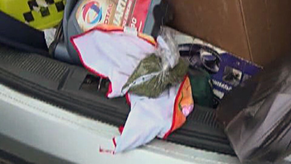 МВД: В машине задержанных нашли две сигареты с веществом зеленого цвета растительного происхождения и пакет с аналогичным веществом