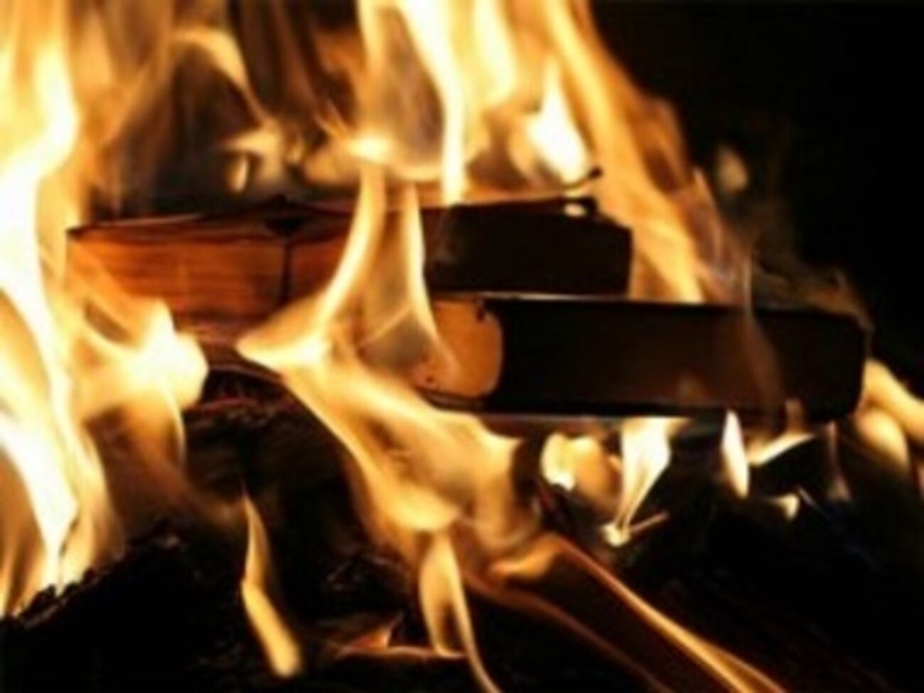 СМИ: По словам одного из подростков, книги два дня сушили, чтобы они лучше горели