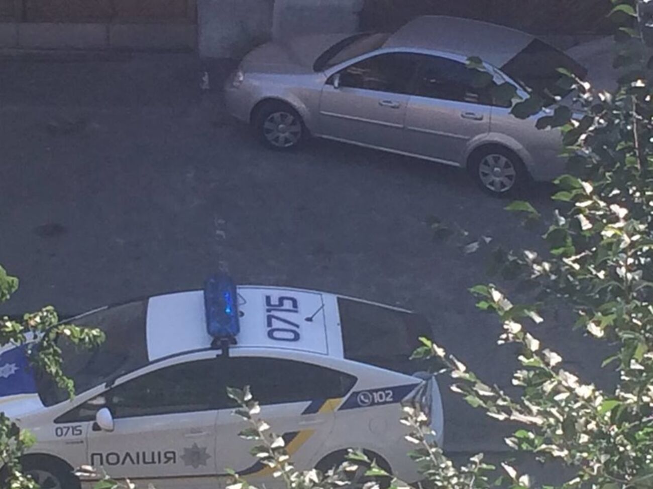 Новые патрульные приехали успокаивать старых милиционеров