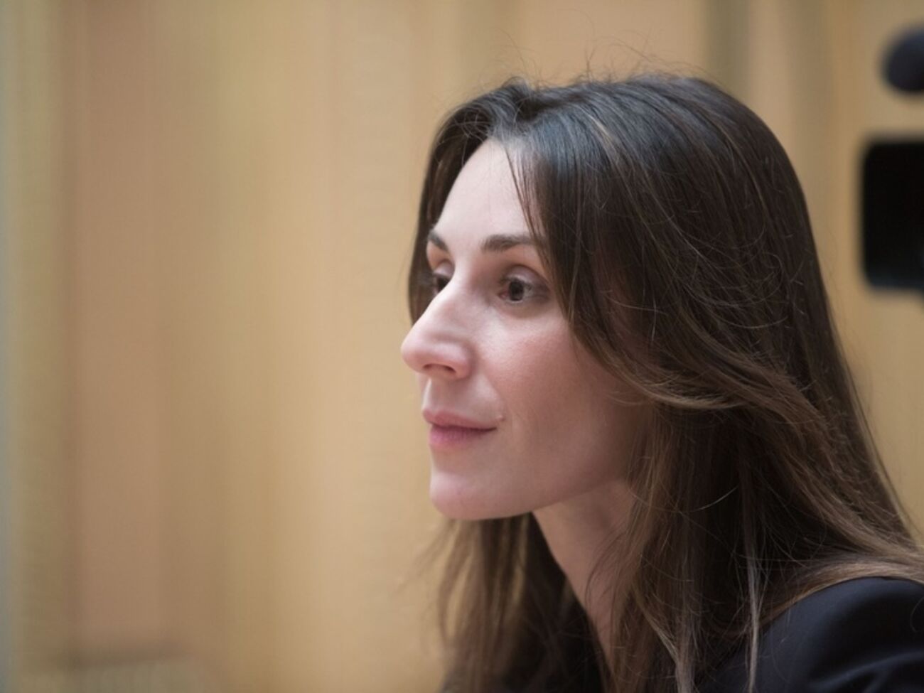 Эка Згуладзе отказалась назвать фамилии высокопоставленных украинских чиновников, которые были оштрафованы патрульными полицейскими