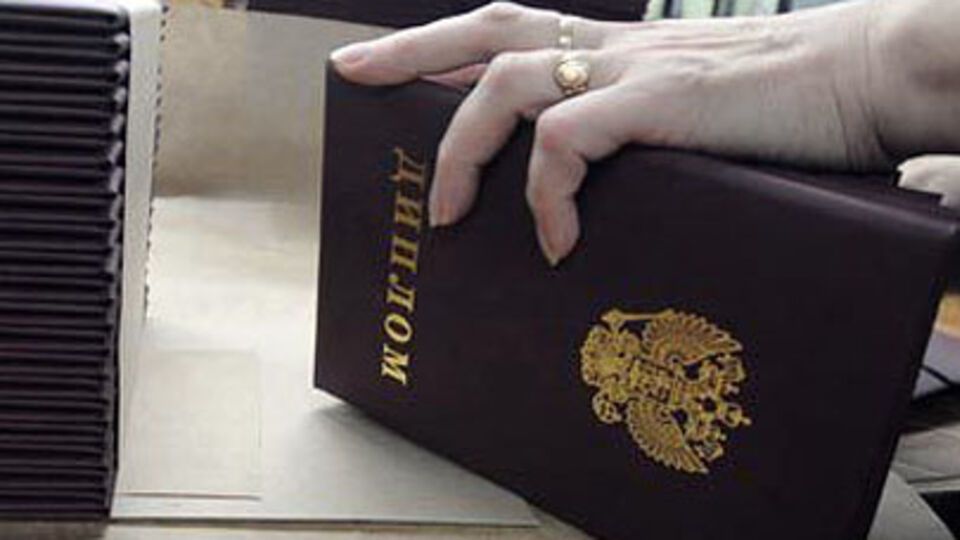 Совсун: Выдача "ДНР" и "ЛНР" дипломов российских вузов ставит под вопрос репутацию таких вузов