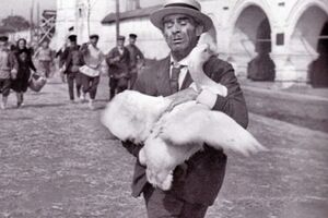 Саакашвили сравнил экс-главу Госавиаслужбы с литературным героем Паниковским