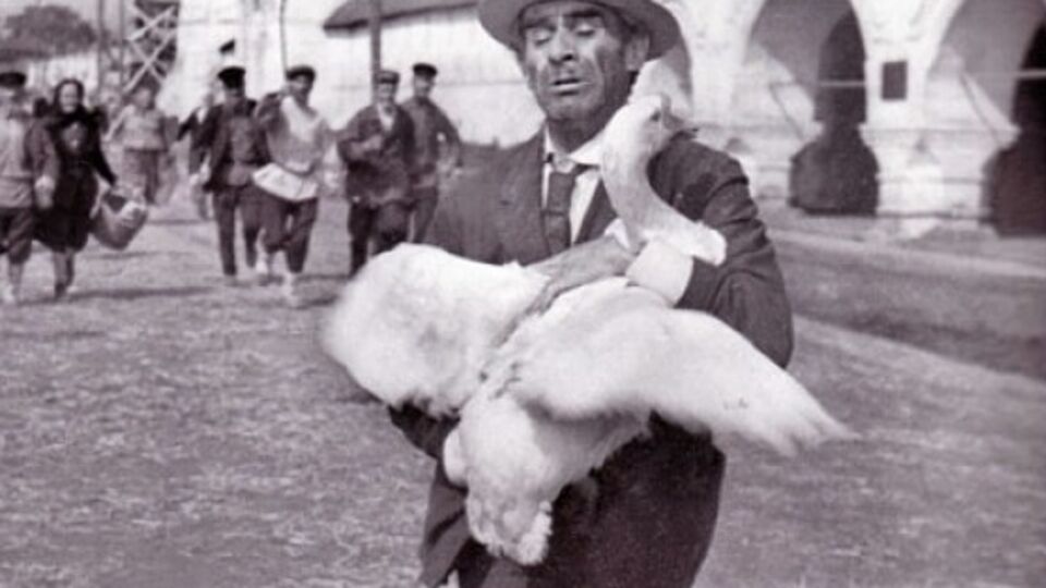 Саакашвили сравнил экс-главу Госавиаслужбы с литературным героем Паниковским