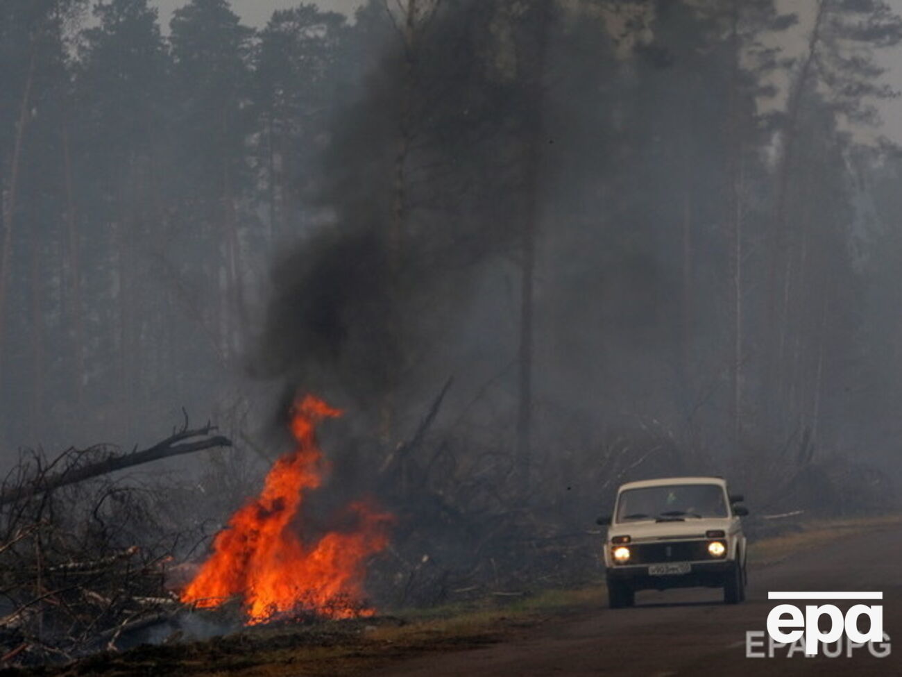 Сибирь вновь пылает