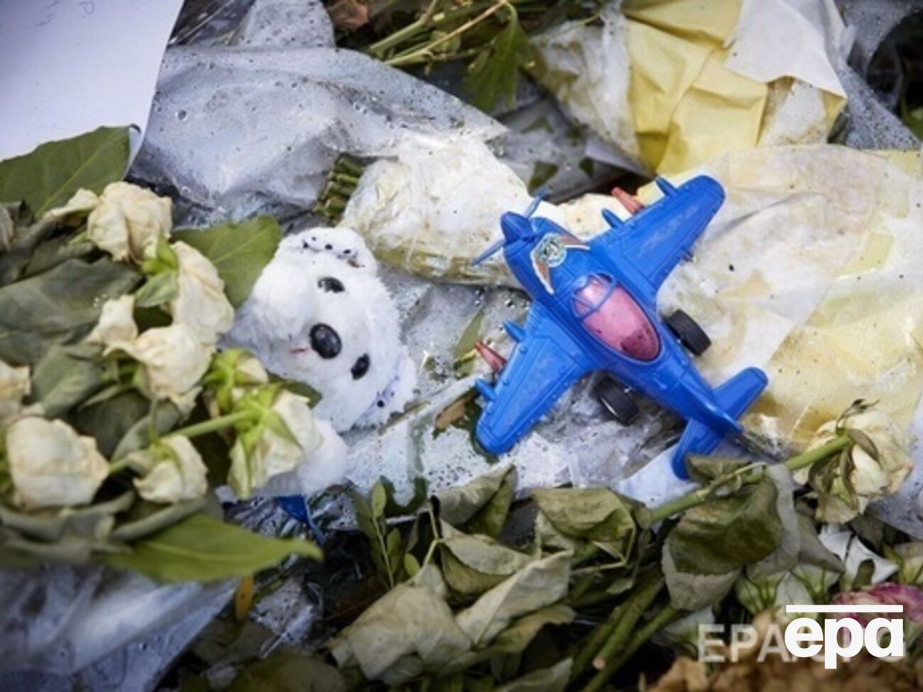 Малайзия представила свой проект резолюции по MH17