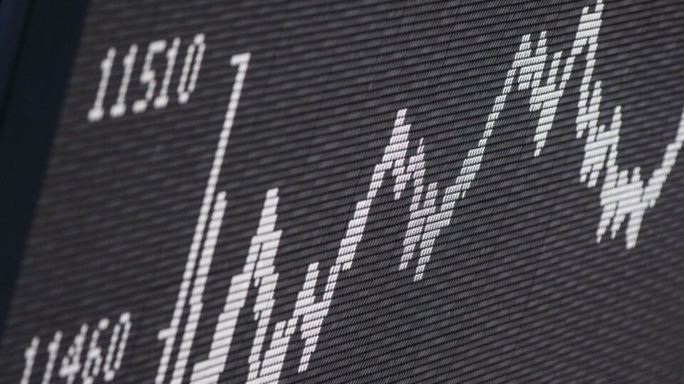 Харьковская область построила 31 взводно-опорный пункт на протяженности около 200 км