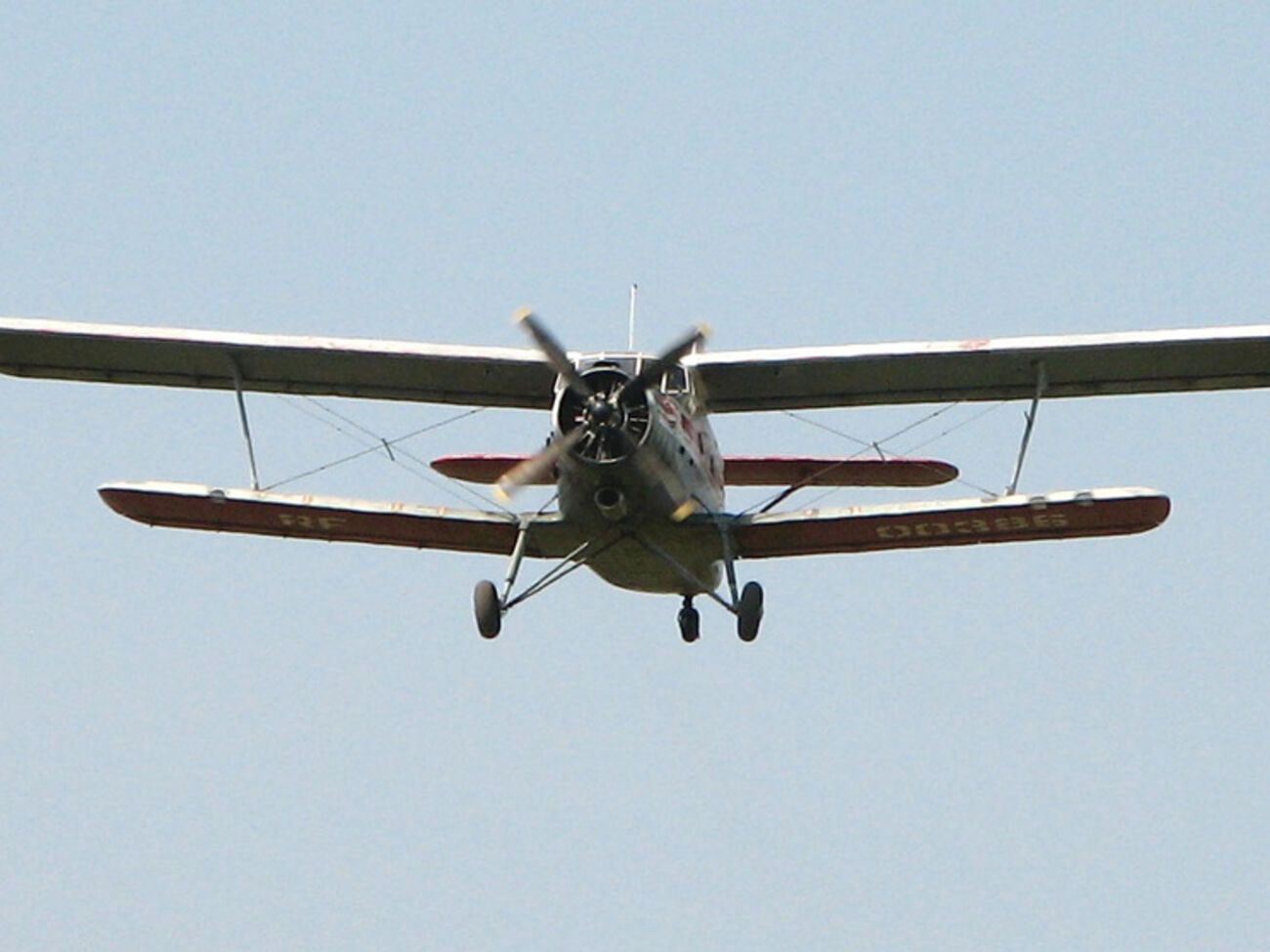 В Румынии разбился самолет Ан-2