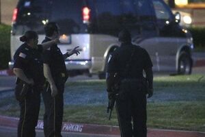 Подозреваемый в убийстве семьи с шестью детьми в Техасе стрелял по полицейским