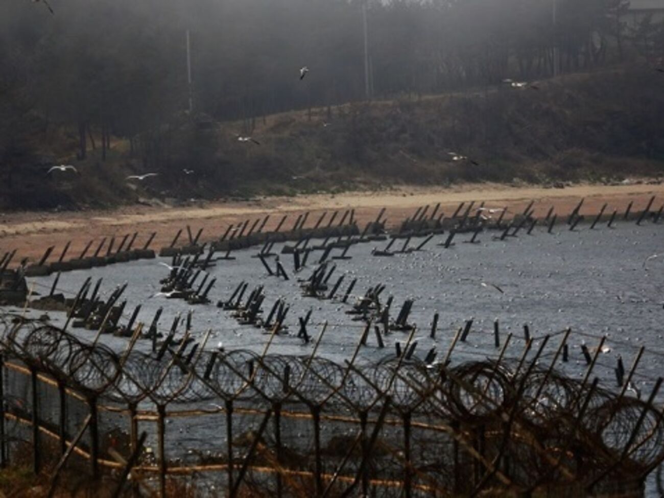 Южную Корею отделяет от КНДР укрепленная демилитаризованная зона шириной в четыре километра