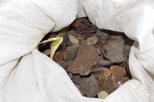 В Госпогранслужбе сообщили об усилении контроля за перемещением янтаря за границу