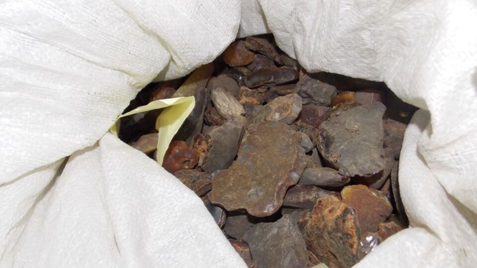 В Госпогранслужбе сообщили об усилении контроля за перемещением янтаря за границу