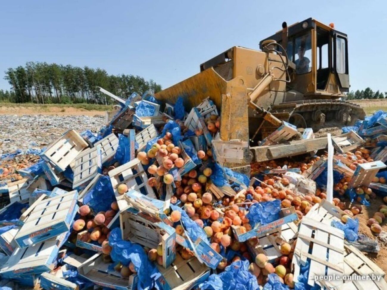 В посольстве считают, что Савицкий прилагает усилия для защиты интересов польских производителей продовольствия