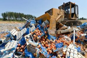 В посольстве считают, что Савицкий прилагает усилия для защиты интересов польских производителей продовольствия