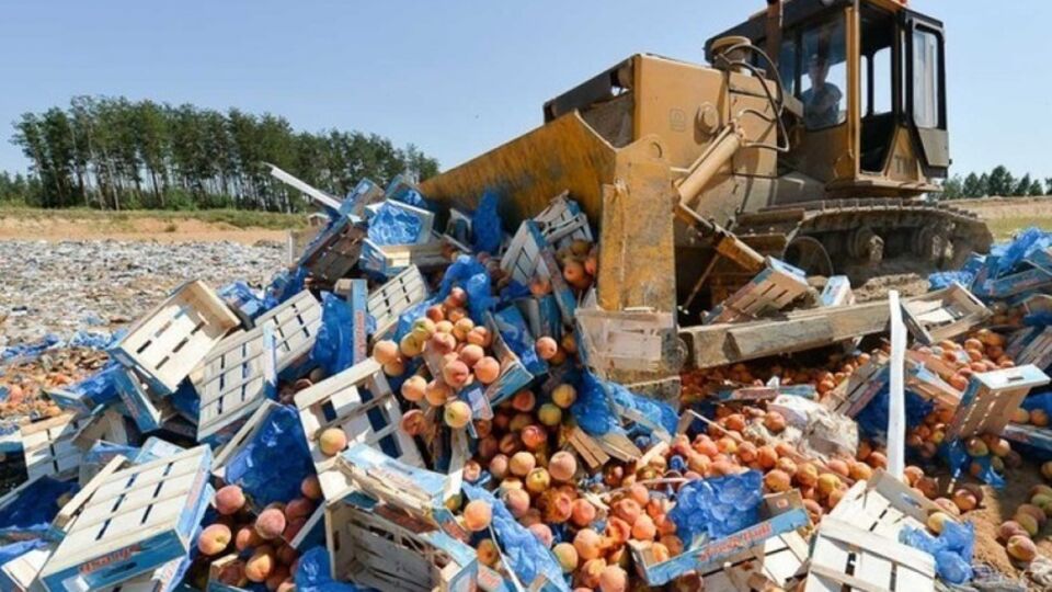 В посольстве считают, что Савицкий прилагает усилия для защиты интересов польских производителей продовольствия