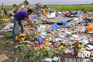 Тонер: США поддерживают расследование голландцев по МН17