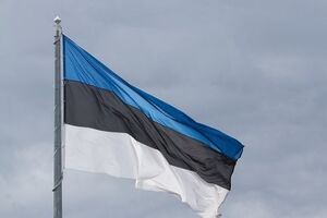 Эстония готова передать своего гражданина украинским властям