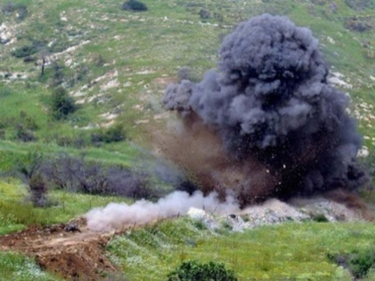 Луганская администрация: В селе Крымское на противопехотной мине подорвался боец батальона "Киев-2"