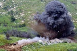 Луганская администрация: В селе Крымское на противопехотной мине подорвался боец батальона "Киев-2"