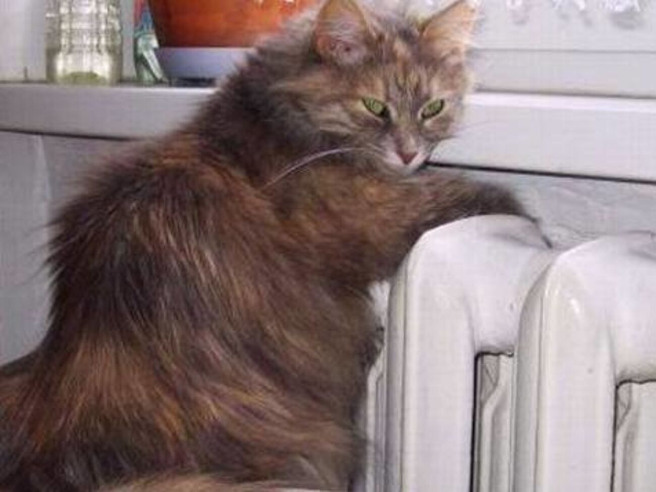 В будущем отопительном сезоне минимально допустимой температурой может стать +16&deg;С