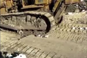 В Татарстане использовали бульдозер для уничтожения тушек трех "санкционных" гусей. Видео