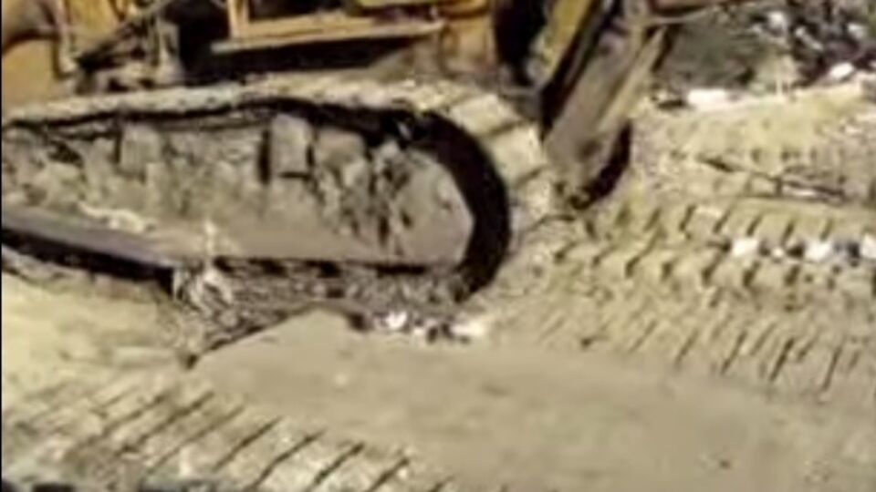 В Татарстане использовали бульдозер для уничтожения тушек трех "санкционных" гусей. Видео