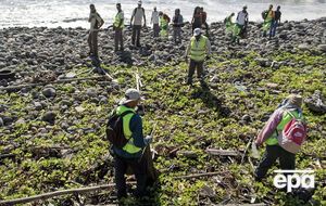 Поиски фрагментов исчезнувшего полтора года назад MH370 продолжаются