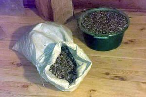 СБУ: Злоумышленник занимался оптовой скупкой драгоценных камней