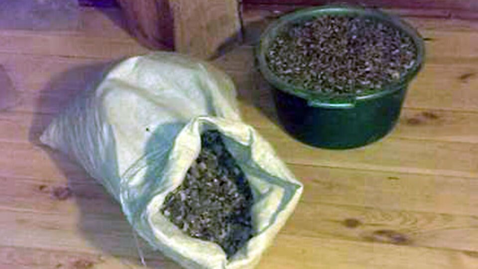 СБУ: Злоумышленник занимался оптовой скупкой драгоценных камней