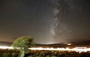 В этом году метеорный дождь был особо хорошо виден