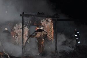 Спасатели потушили пожар на острове Хортица за два часа