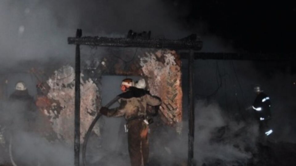 Спасатели потушили пожар на острове Хортица за два часа