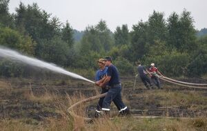 Госслужба по ЧС: В Волынской области горят торфяники