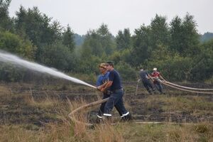 Госслужба по ЧС: В Волынской области горят торфяники