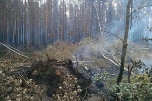 Пожарные перешли к тушению тлеющей лесной подстилки