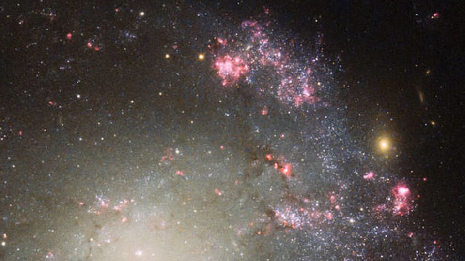 Галактика характеризуется активным звездообразованием