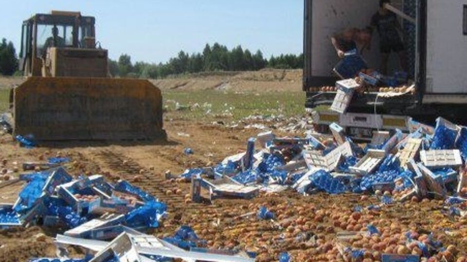 Россияне могут жаловаться на санкционную продукцию с 9 до 18