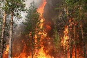 Возгорания отмечены в 12 заповедниках