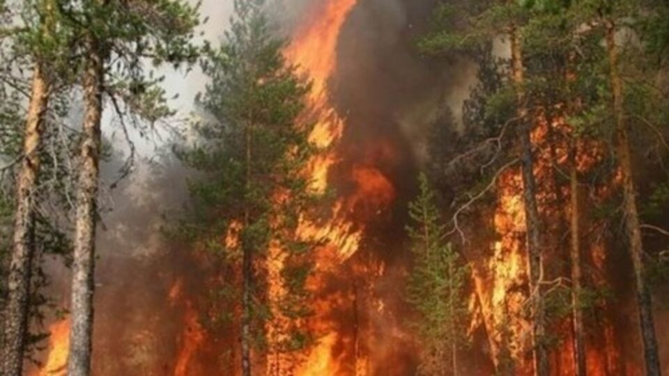 Возгорания отмечены в 12 заповедниках