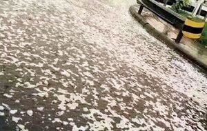 Жители обеспокоены появлением пены неясного происхождения