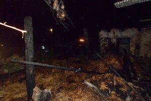 ГСЧС: Двое мирных жителей погибли от взрыва снаряда в Николаевской области