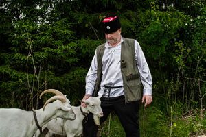 Казаки будут искать санкционные продукты в Петербурге