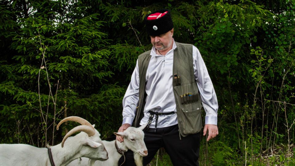 Казаки будут искать санкционные продукты в Петербурге