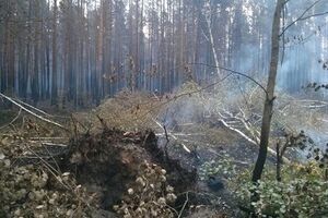 Проводится тушение травяного настила вблизи сел Бычки и Кривая Гора