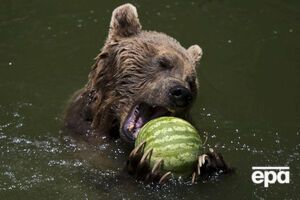 Снова установится жаркая погода