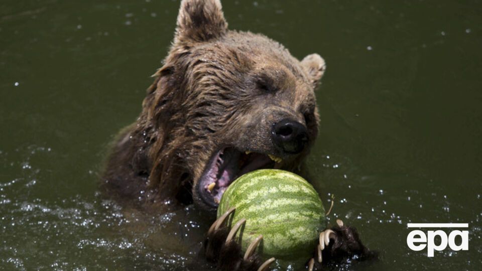 Снова установится жаркая погода