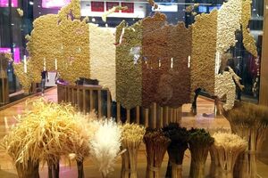 На выставке Россия представила карту страны с аннексированным полуостровом