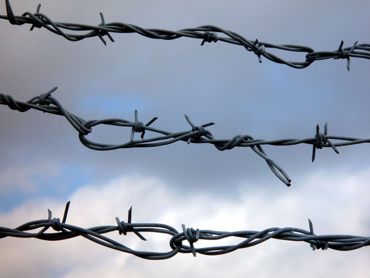 Союз людоедов, или Почему Гитлер Сталина с днем рождения поздравлял