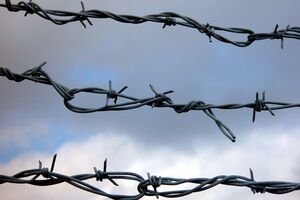Союз людоедов, или Почему Гитлер Сталина с днем рождения поздравлял