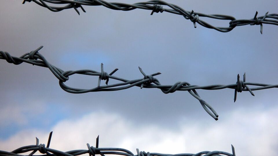 Союз людоедов, или Почему Гитлер Сталина с днем рождения поздравлял